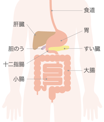 消化器